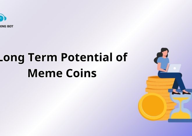 Long Term Potential of Meme Coins