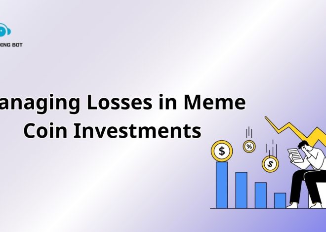 Managing Losses in Meme Coin Investments