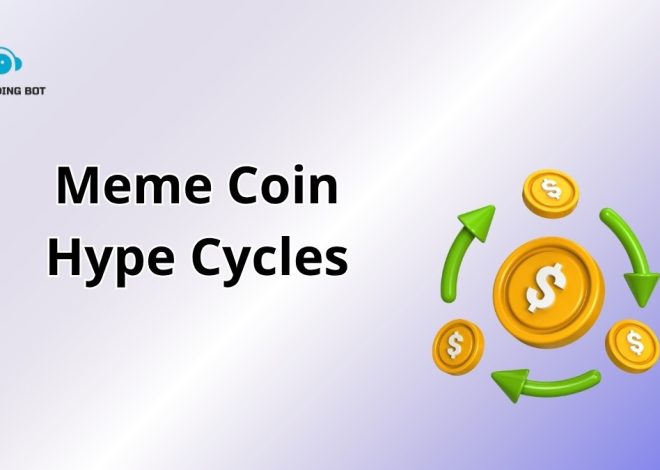Meme Coin Hype Cycles