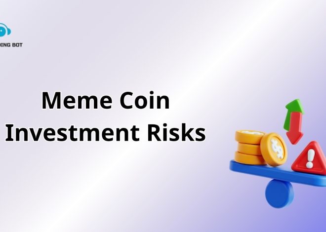Meme Coin Investment Risks