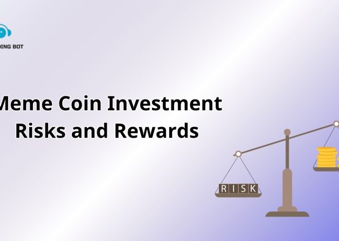 Meme Coin Investment Risks and Rewards