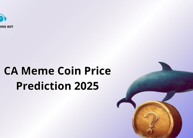 CA Meme Coin Price Prediction 2025: Can It Skyrocket?