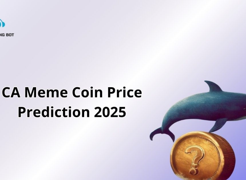 CA Meme Coin Price Prediction 2025: Can It Skyrocket?